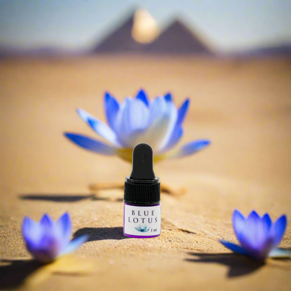 Organic Egyptian Blue Lotus Oil – Lalita