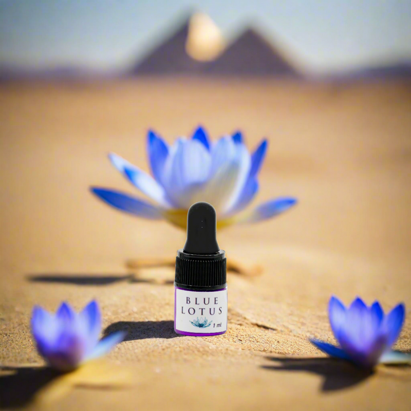 Organic Egyptian Blue Lotus Oil by Lalita